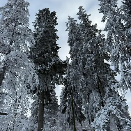 Casa de Férias Gliczarowska Panorama Z Widokiem Na Tatry Gliczarów Górny Gliczarow Gorny