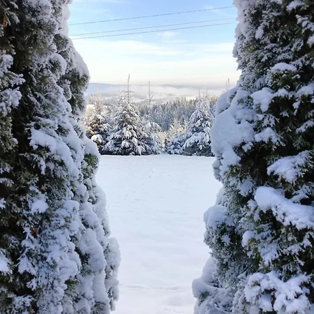 Gliczarowska Panorama Z Widokiem Na Tatry Gliczarów Górny * Gliczarow Gorny