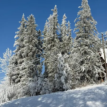 Gliczarowska Panorama Z Widokiem Na Tatry Gliczarów Górny *