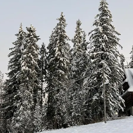 Gliczarowska Panorama Z Widokiem Na Tatry Gliczarów Górny Casa de Férias Gliczarow Gorny