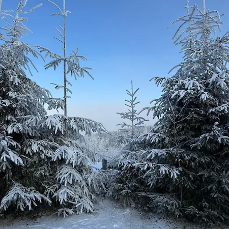 Gliczarowska Panorama Z Widokiem Na Tatry Gliczarów Górny Casa de Férias Gliczarow Gorny