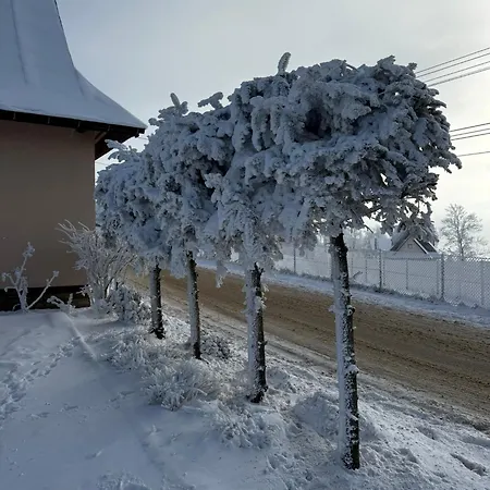 Gliczarowska Panorama Z Widokiem Na Tatry Gliczarów Górny Casa de Férias Gliczarow Gorny